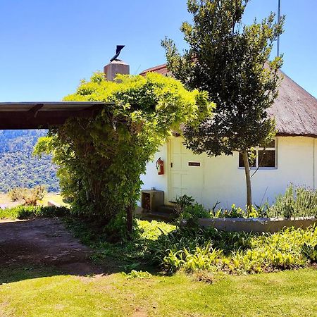 The Edge Mountain Retreat Villa Hogsback Dış mekan fotoğraf