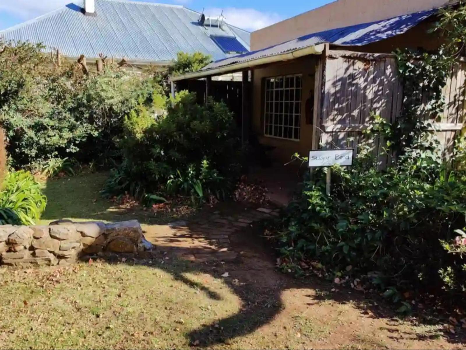 The Edge Mountain Retreat Villa Hogsback Dış mekan fotoğraf