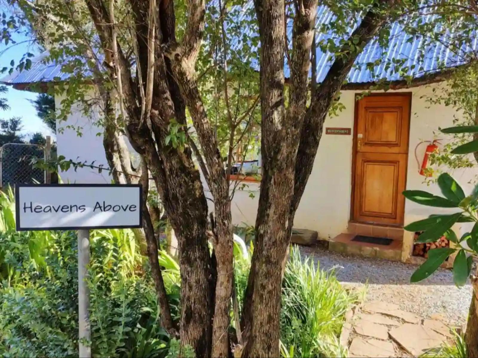 The Edge Mountain Retreat Villa Hogsback Dış mekan fotoğraf